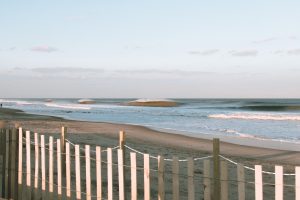 Adopt Your Beach