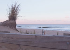 Homepage Header Image 4