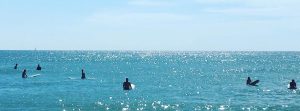 header-image-1