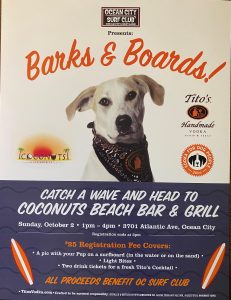 Barks and boards flyer